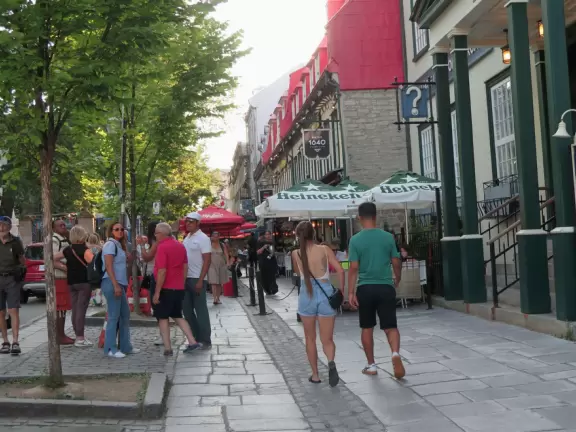 Restaurants with leafy patios.