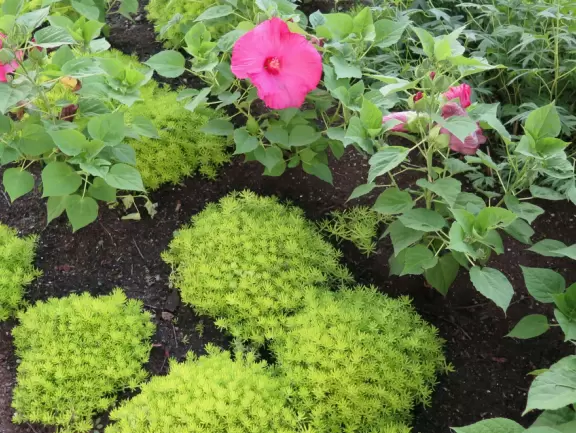 Impressive, stately building atop a hill, with lovely gardens and statues, and a fountain in the middle if the street.