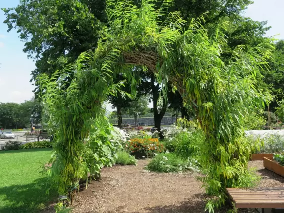Impressive, stately building atop a hill, with lovely gardens and statues, and a fountain in the middle if the street.