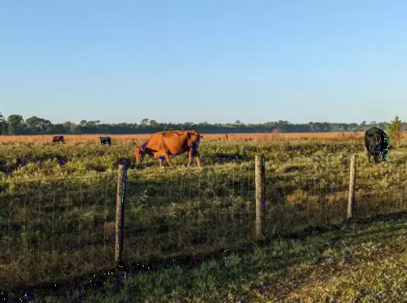 Large playground with sand floor and huge shade canopy, plus hike through a jungle paradise!