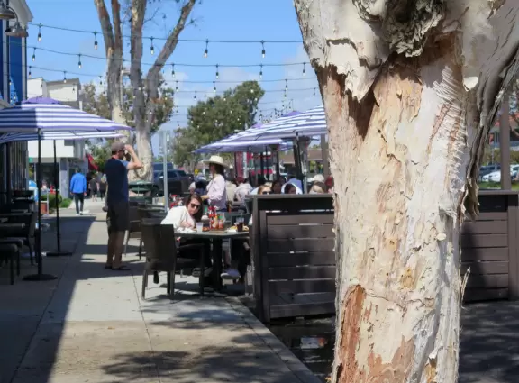 Seven block stretch of cute cafes and coffee shops!