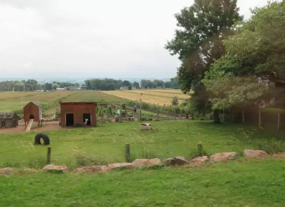 One of the nicest churches I've ever seen! In the countryside near Quebec City.