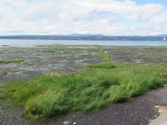 Beautiful loop drive around the island called &Icirc;le d'Orl&eacute;ans.