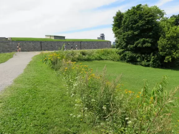 Fantastic citadel to visit. Lots of beauty, and interesting. Well worth a tour!