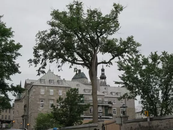 Delightful stone ramparts with cannons, views of the river, breeze, maple leaves galore! Peaceful!