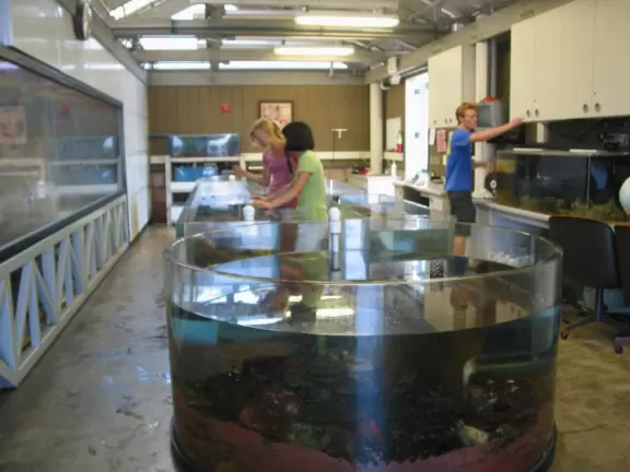 The surfing beach at UCSB- a pretty spot.