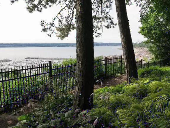 Gorgeous park in a forest with maple trees galore and views over the water.