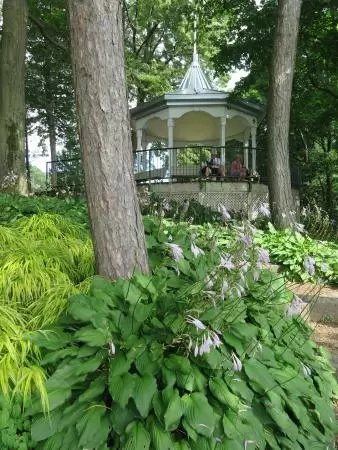 Gorgeous park in a forest with maple trees galore and views over the water.