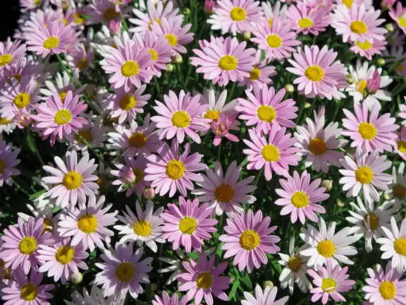 Beautiful aquarium over the Saint Lawrence River with great outdoor areas and playful animals.