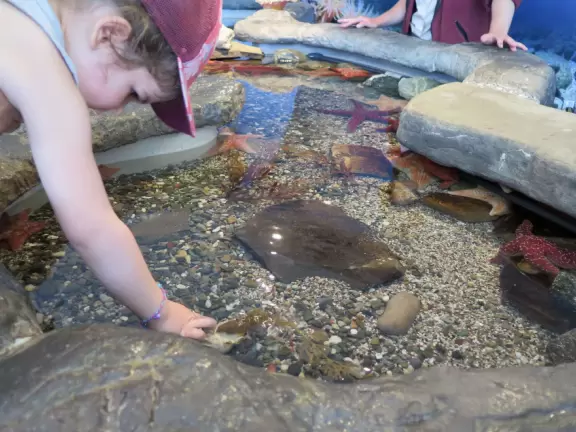 Beautiful aquarium over the Saint Lawrence River with great outdoor areas and playful animals.