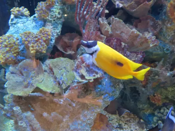 Beautiful aquarium over the Saint Lawrence River with great outdoor areas and playful animals.