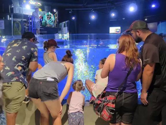 Beautiful aquarium over the Saint Lawrence River with great outdoor areas and playful animals.