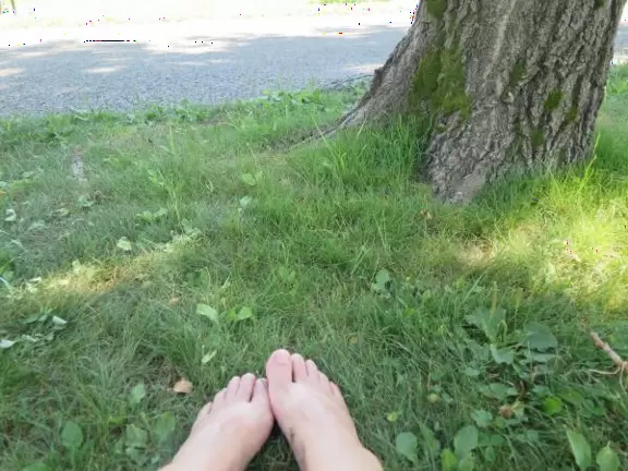 Wonderful spot along the river, with happy people biking and roller blading by. Observation tower with sweeping views.