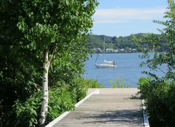 Wonderful spot along the river, with happy people biking and roller blading by. Observation tower with sweeping views.