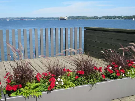 Wonderful spot along the river, with happy people biking and roller blading by. Observation tower with sweeping views.