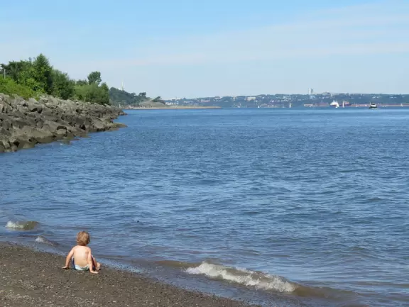Wonderful spot along the river, with happy people biking and roller blading by. Observation tower with sweeping views.