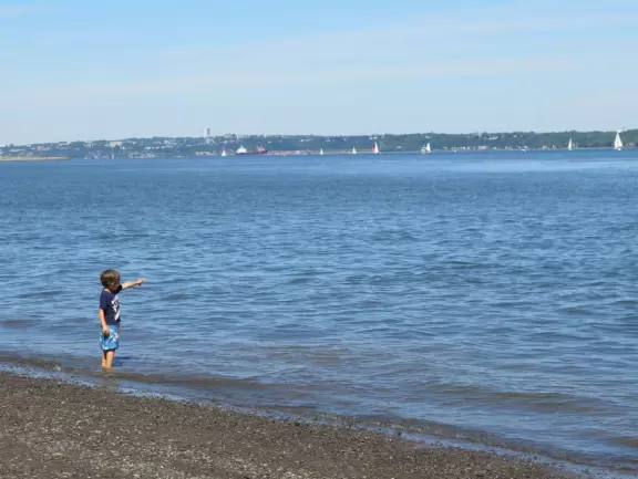 Wonderful spot along the river, with happy people biking and roller blading by. Observation tower with sweeping views.