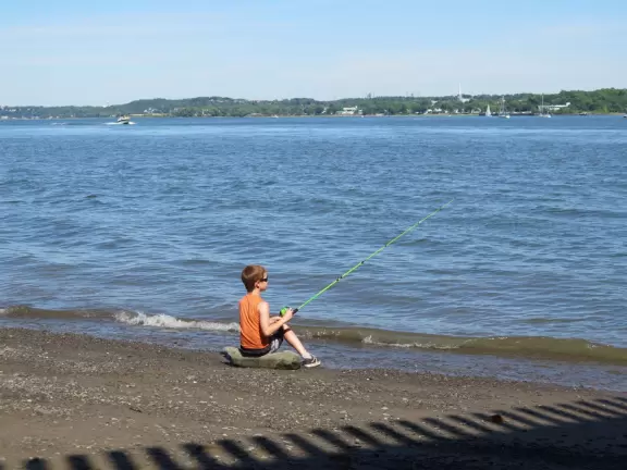 Wonderful spot along the river, with happy people biking and roller blading by. Observation tower with sweeping views.