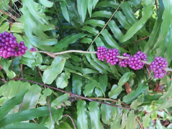 Waterfront park with amazing colors in the water- views of an island and blue-green sandbars. Plenty of benches and docks, and a playground.
