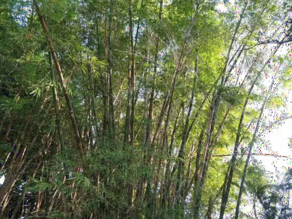 Waterfront park with amazing colors in the water- views of an island and blue-green sandbars. Plenty of benches and docks, and a playground.