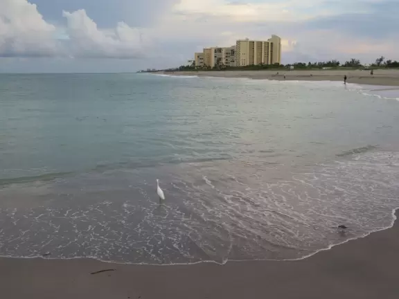 Beach where fishermen hang out on the jetty and surfers come to ride the waves at Jupiter Inlet.