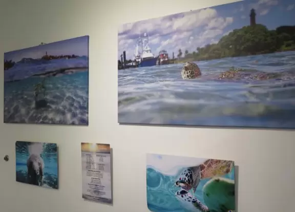 Gorgeous place on the Jupiter inlet across from the lighthouse, with restaurants and a walkway.