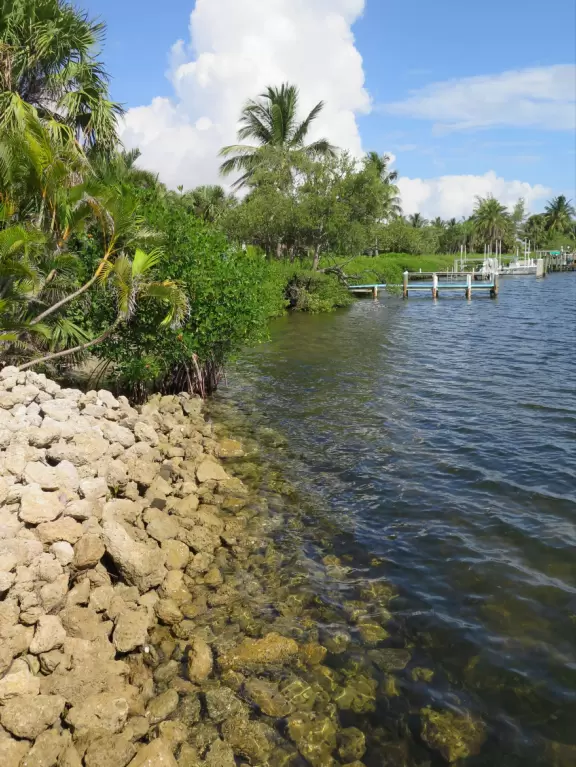 A sweet little park in a nice neighborhood on the intracoastal.
