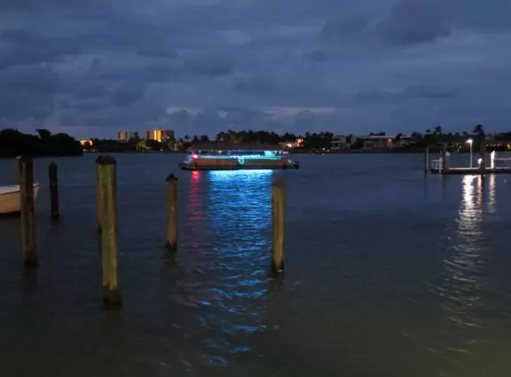 Gorgeous place on the Jupiter inlet across from the lighthouse, with restaurants and a walkway.
