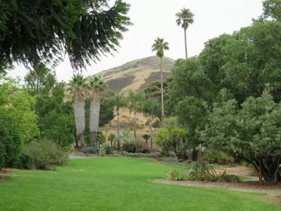 Lovely stroll past many different types of trees blossoming with seeds and flowers.