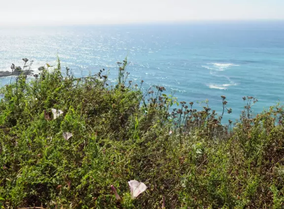 Stunning beauty! Blue-green water seen from vertical cliffs. Many breathtaking stops along the way.