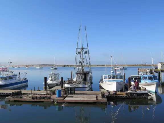 A delightful rock, beautiful wildlife, peaceful idyllic estuary, imaginative playground, and colorful little town.