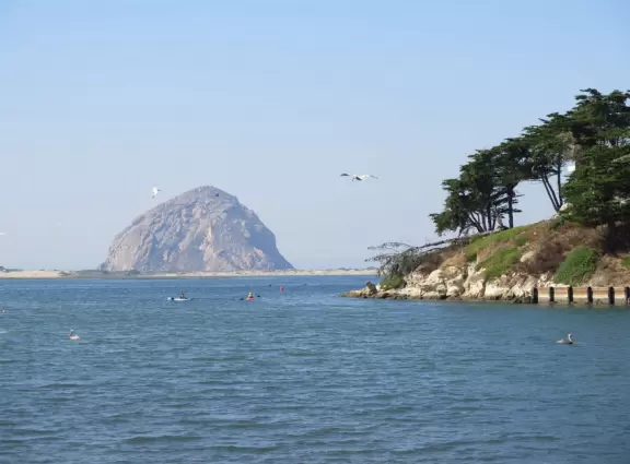 Flat wooden boardwalk loop trail along the estuary- you see divebombing pelicans, Morro Rock, cypress trees on the hills opposite, salt marsh, and mountains in the distance.