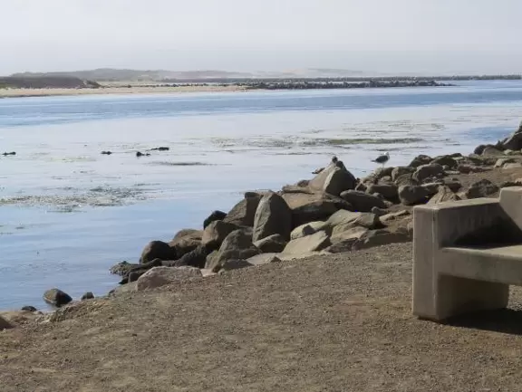 A walkway from Coleman Park to the base of Morro Rock, with views of sea otters on the left!