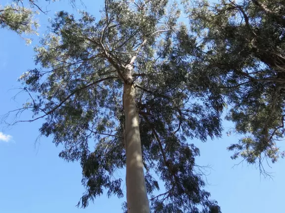 Beautiful views of the coast, cute buildings, and amazing bus ride!