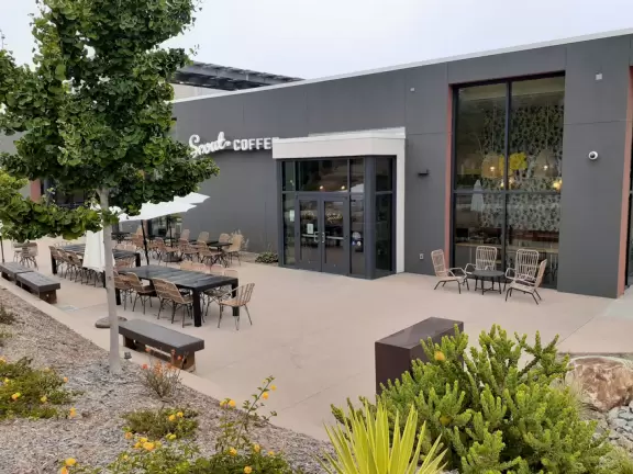 Hilly, sunny campus with tall, impressive trees and green lawns. A hands-on learning university.