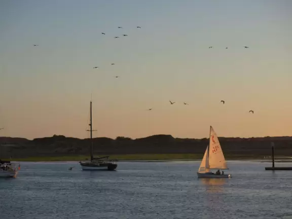 A delightful rock, beautiful wildlife, peaceful idyllic estuary, imaginative playground, and colorful little town.