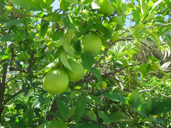 Hearst Castle is like a dream! High, high above the sea!