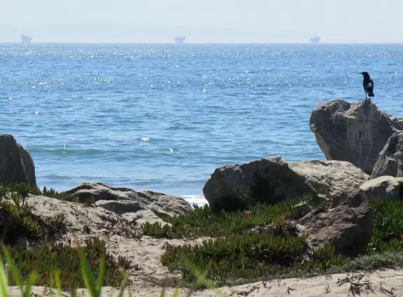 "Kid-friendly" doesn't even begin to describe how blissful this restaurant is for parents!!