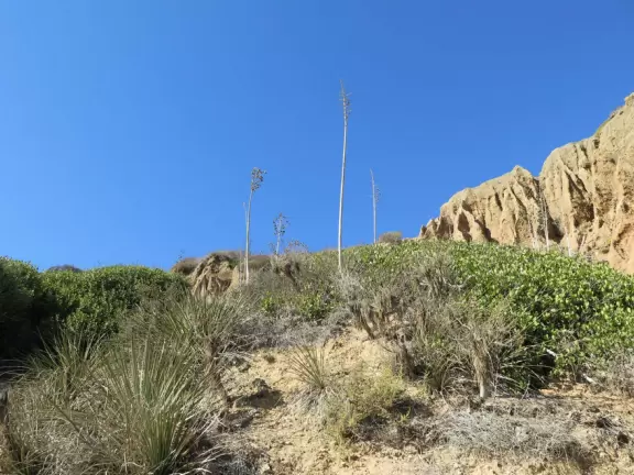 Incredible beach with blue-green water, rocks jutting out of the sea, arches, and caves.