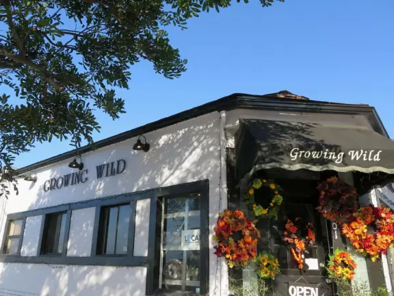 A little beach town with delightful old-fashioned octagonal-ended pier and surfer shops that lead down to the sea.