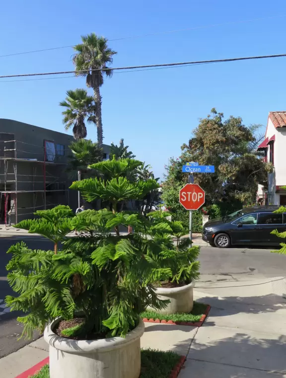 A little beach town with delightful old-fashioned octagonal-ended pier and surfer shops that lead down to the sea.
