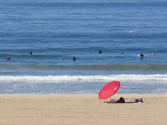 Beautiful walkway above the beach. Walk for miles, with friendly fitness-lovers!