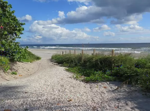 Wide-open beach with pale grey sand, shells on the shore, and aquamarine water, across from a playground, turtle center, and hike.