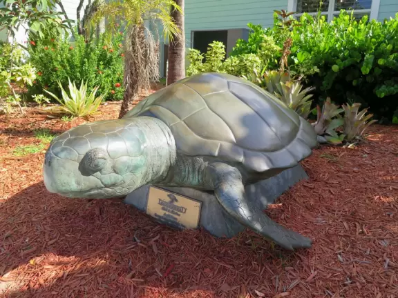 Kids love to see the recovering turtles in the outdoor tanks, and to learn about turtles from the exhibits at this attractive center.