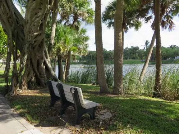 Playground by a lake with ibis birds, turtles, and a walking path.