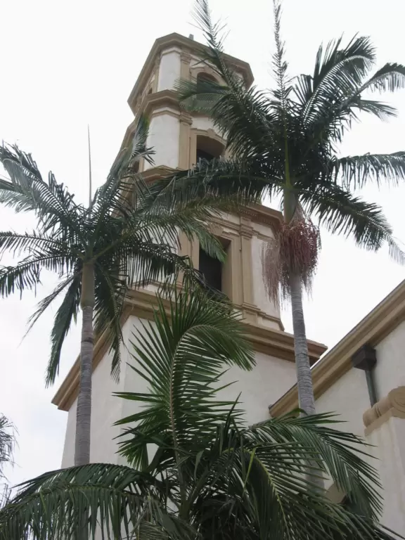 The perfect bell tower and palms.