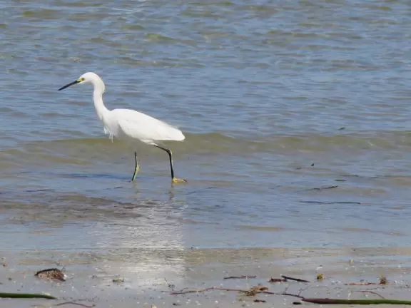 Large lagoon with clear water where kids can swim, tons of shade, and playground in the sand.