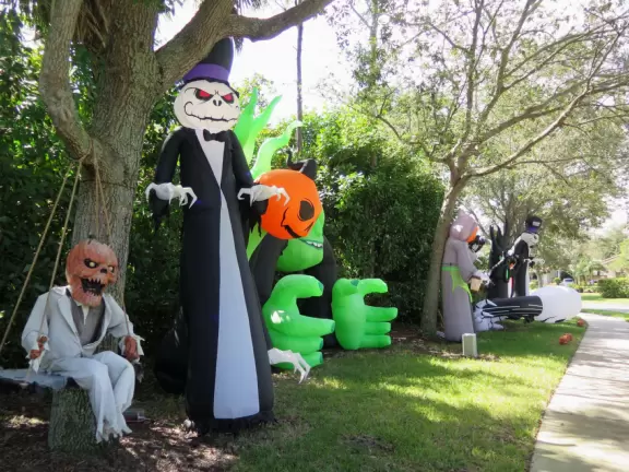 Long walk with wide sidewalk, past lush jungly forest. Some car noise.