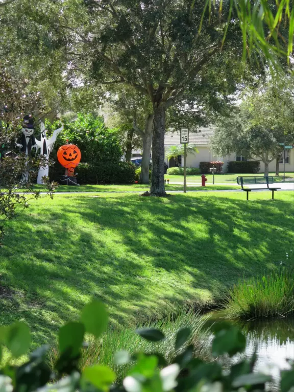 Long walk with wide sidewalk, past lush jungly forest. Some car noise.