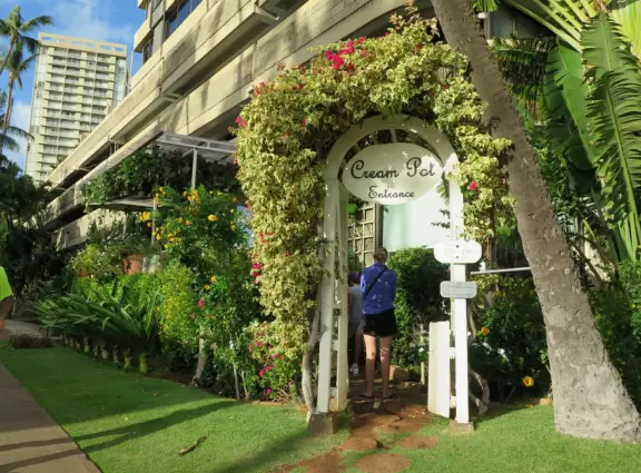 Beautiful mountains views. You can walk for miles along the Ala Wai canal!